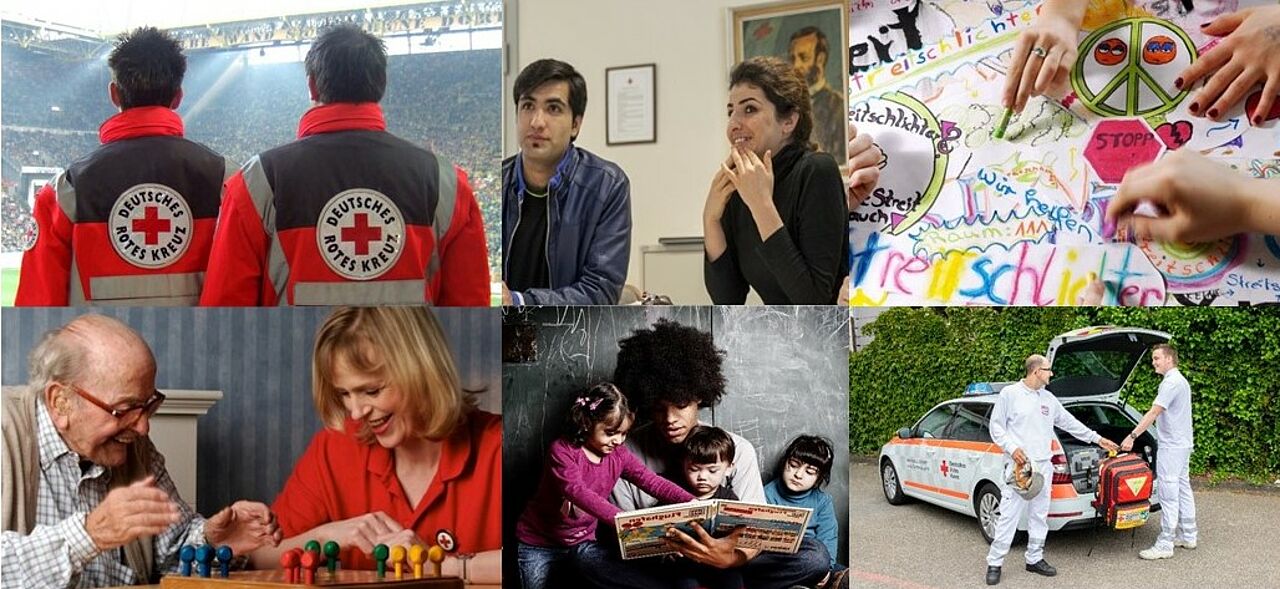 Collage aus den Freiwilligendiensten