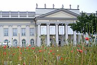Documenta Kassel